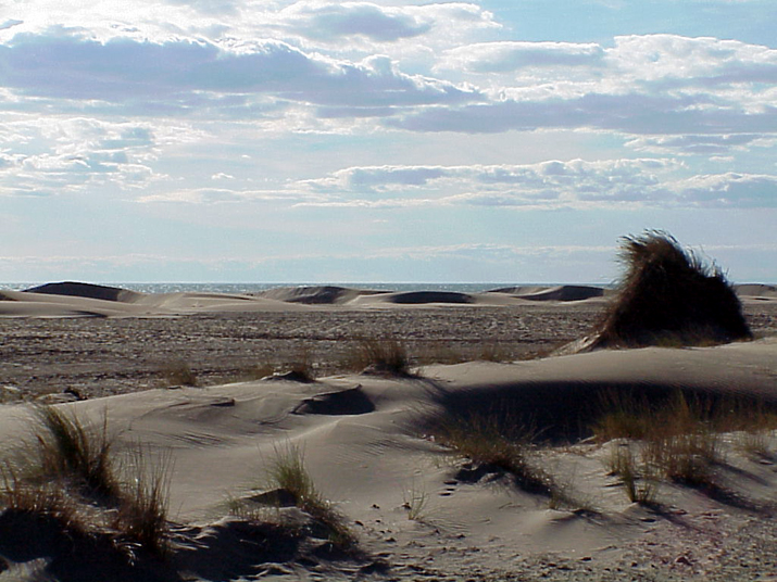 2004-08 Céline Camargue 023.JPG